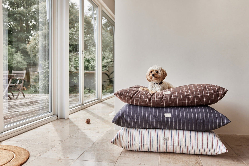 OYOY ZOO Kyoto Dog Cushion - Large - Lund und Larsen