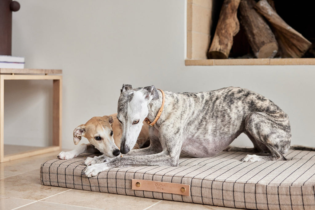 OYOY ZOO Milo Grid Dog Cushion - Large - Lund und Larsen