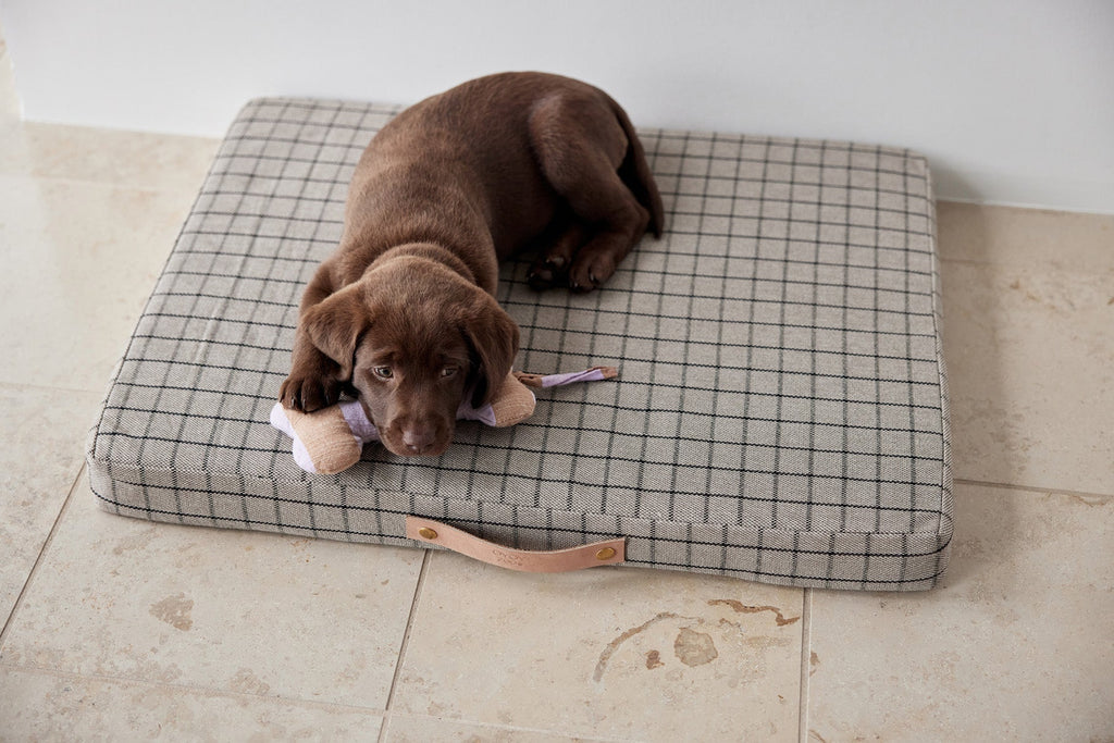 OYOY ZOO Milo Grid Dog Cushion - Small - Lund und Larsen